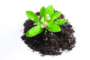 技术和传统方法对比评测